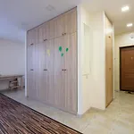 Colored Balloons - 3 Bedrooms, 3 Bathrooms, Equipped Large Appartement Lviv