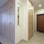 Colored Balloons - 3 Bedrooms, 3 Bathrooms, Equipped Large